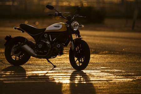 Ducati Scrambler Palm Spring 02 Kopie