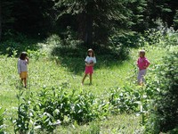 Resumen de la semana del 31 de julio al seis de agosto en Peques y Más 