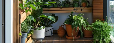 Lidl arrasa con este toldo ideal para terrazas que se instala sin taladros 