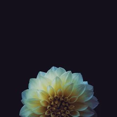 Foto 17 de 25 de la galería fondos-minimalistas en Xataka Android