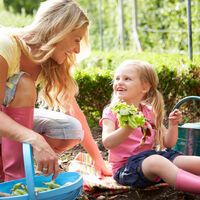 Tener un huerto en las escuelas ayuda a que los niños coman más verduras