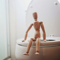 El hábito número uno que debes seguir para ir al baño con regularidad