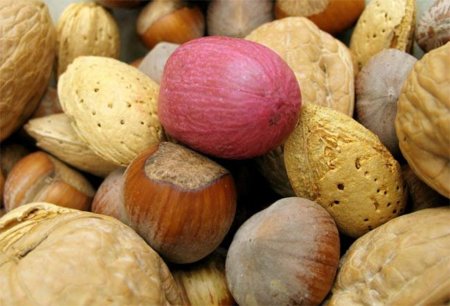 La valina, un aminoácido necesario para aumentar el volumen muscular