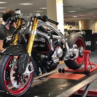 Norton está en las últimas con una deuda de 350.000 euros que debe pagar a Hacienda en menos de 15 días
