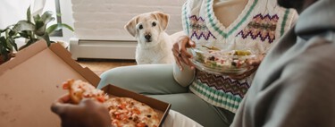 Menús a domicilio para perros desde 60 euros al mes. Así funcionan los 'Wetaca para animales' 