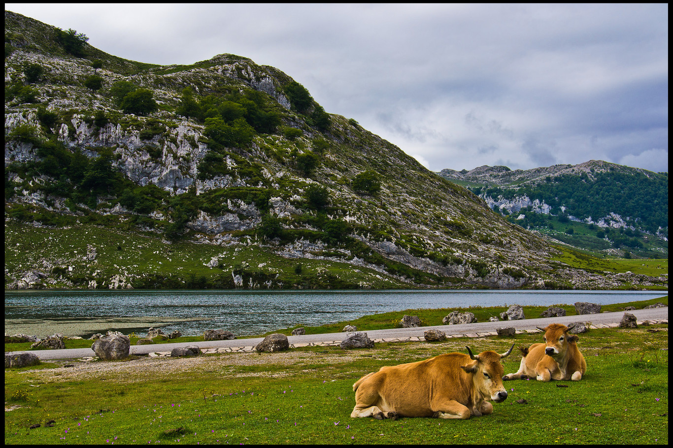 Siete rincones que me enamoraron de Asturias