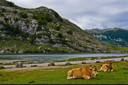 Siete rincones que me enamoraron de Asturias