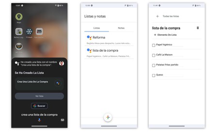 notas google assistant