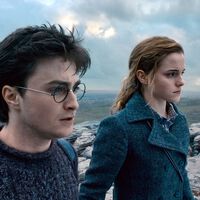 JK Rowling se ha convertido en algo tóxico para los fans de Harry Potter. Así que están expandiendo la saga por su cuenta 