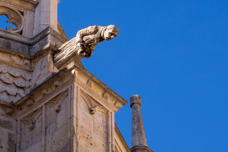 La gárgola del fotógrafo de la catedral de Palencia y otro misterio fotográfico
