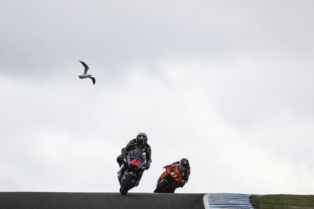 Estos son los resultados que necesita Pecco Bagnaia para alzarse campeón del mundo de Moto2