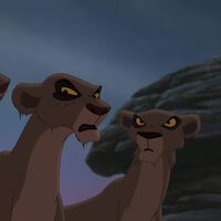 Esta película de Disney cargaba con un gran peso y se pensaba que sería un fracaso, pero lo cierto es que es una gran secuela que podemos ver en Disney Plus, El Rey León 2  