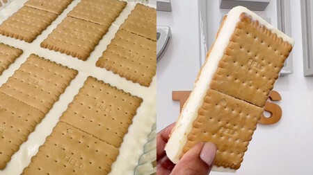 Sandwich Helado Casero