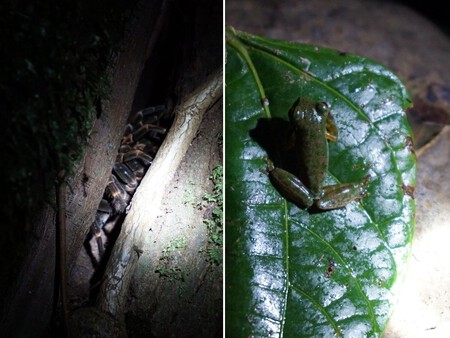 Costa Rica Anabel Palomares 35