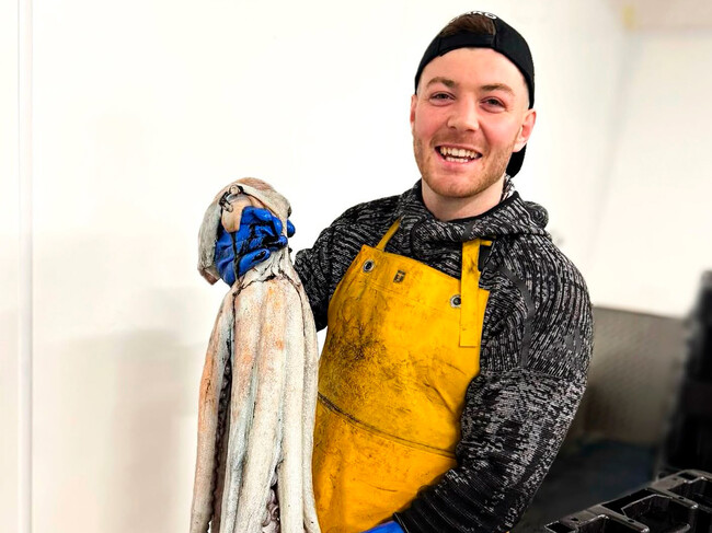 Fish Market