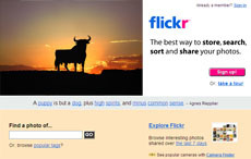 Flickr en español