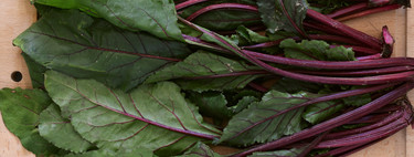 Cómo utilizar las partes (supuestamente) inservibles de las verduras: aquí no se tira nada