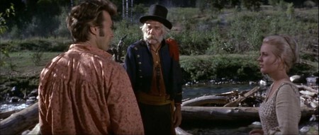 Paint Your Wagon