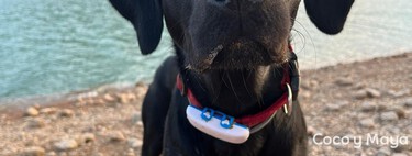 Soy educador canino y desde que probé este GPS para perros se lo recomiendo a todo el mundo 