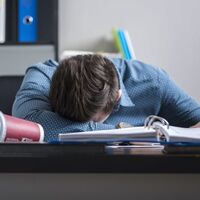 La jornada laboral de cuatro días no debe venir por decreto sino por productividad
