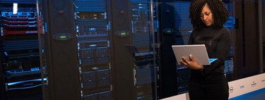 Quase toda a internet se sustenta em PHP; acontece que, na sua fundação, trabalha apenas uma pessoa em tempo integral 