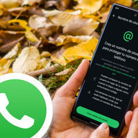 El mayor cambio de WhatsApp en años está a punto: llegan los nombres de usuario. Tendrás que correr si quieres el tuyo