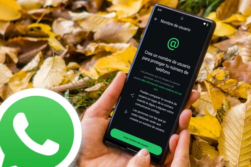 Nombre Usuario Whatsapp Portada