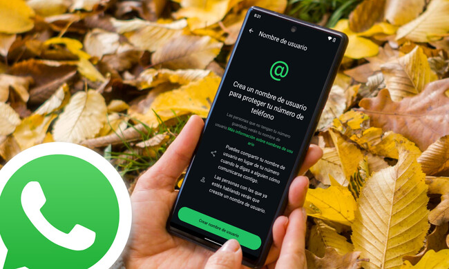 Nombre Usuario Whatsapp Portada
