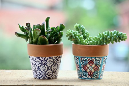 decoración terrazas