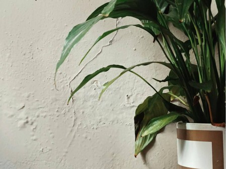 Copia De Plantilla 1200x900 14