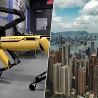 Hong Kong afronta una enorme crisis de salud pública por el virus chikungunya. Su solución: un ejército de perros robot 