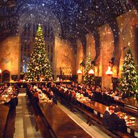 La desagradable realidad del Gran Comedor de Hogwarts en las películas de Harry Potter es que "olía a comida podrida" 