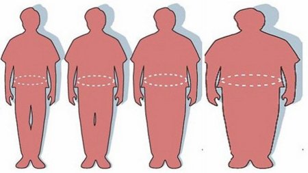 La obesidad en el mundo