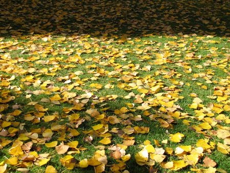 Correr en otoño, empieza el frio