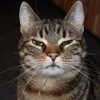 7 razones por las que tus clientes se dan de baja (o huyen) de tu newsletter 