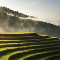 Se supone que El Niño no tiene un impacto directo en España. Hasta que empezamos a fijarnos en el arroz