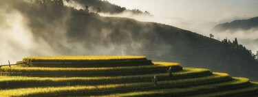 Se supone que El Niño no tiene un impacto directo en España. Hasta que empezamos a fijarnos en el arroz