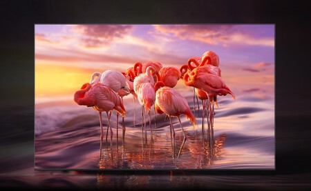 Samsung Qe43q60bau 43 Pulgadas