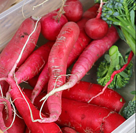 Rábano, un alimento saludable que podemos consumir todo el año