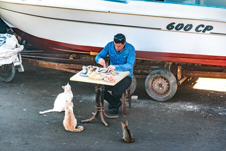 Peter Schulz Gteiu8l3qzw Unsplash