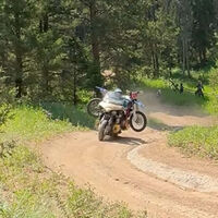 Surrealista: hacer enduro con una Honda Gold Wing y otra moto en la espalda para recoger una cabeza de alce