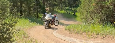 Surrealista: hacer enduro con una Honda Gold Wing y otra moto en la espalda para recoger una cabeza de alce