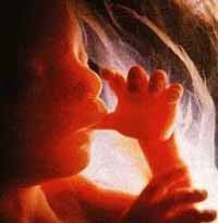 Prevenir la delincuencia desde el vientre materno