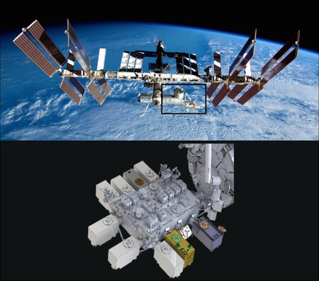 Gedi Iss