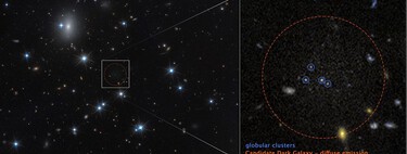 We have just discovered a true cosmic anomaly: a galaxy "invisible" made up almost 100% of dark matter  