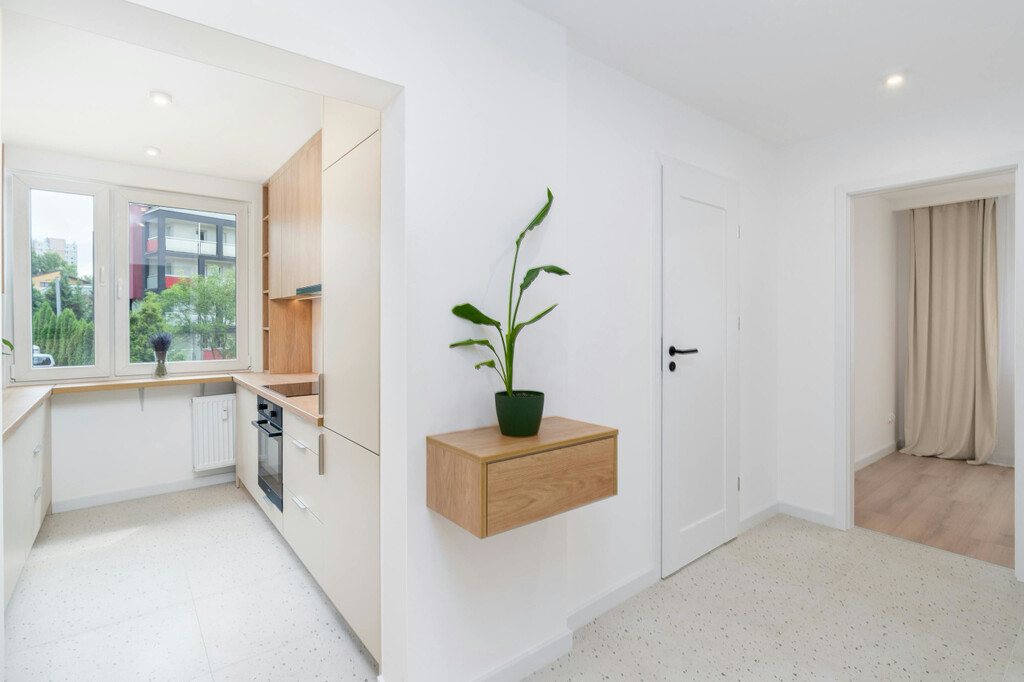 Siete plantas perfectas para decorar pasillos oscuros: son bonitas y necesitan poca luz 