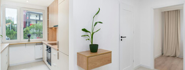 Siete plantas perfectas para decorar pasillos oscuros: son bonitas y necesitan poca luz 