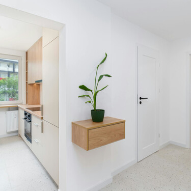 Siete plantas perfectas para decorar pasillos oscuros: son bonitas y necesitan poca luz 