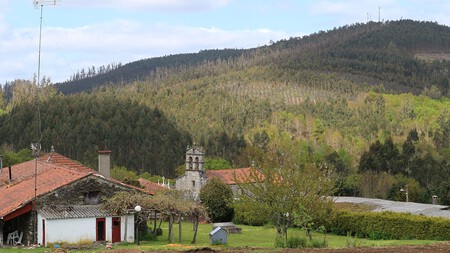 Oza Cesuras Trasanquelos 1