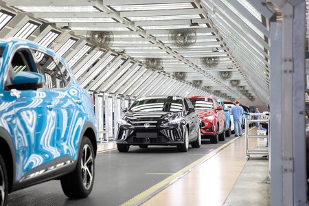 Mg Planta Mexico 2